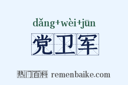党卫军是什么意思的图片